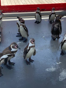 南知多ビーチランド＆南知多おもちゃ王国に投稿された画像（2023/7/16）