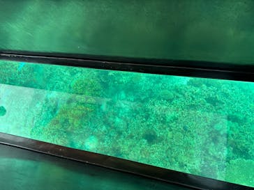 青の洞窟専門店　沖縄ダイビングショップ和に投稿された画像（2023/7/16）