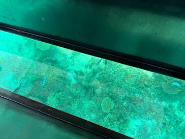 青の洞窟専門店　沖縄ダイビングショップ和に投稿された画像（2023/7/16）