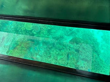 青の洞窟専門店　沖縄ダイビングショップ和に投稿された画像（2023/7/16）