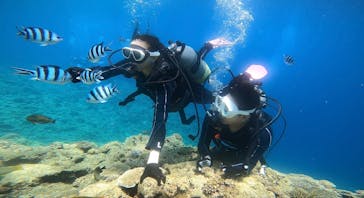 青の洞窟専門店　沖縄ダイビングショップ和に投稿された画像（2023/7/16）