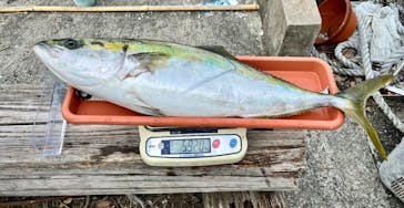 福将丸に投稿された画像（2023/7/16）