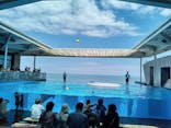 上越市立水族博物館 うみがたりに投稿された画像（2023/7/16）