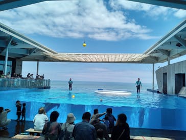 上越市立水族博物館 うみがたりに投稿された画像（2023/7/16）