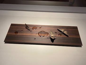 あべのハルカス美術館に投稿された画像（2023/7/16）