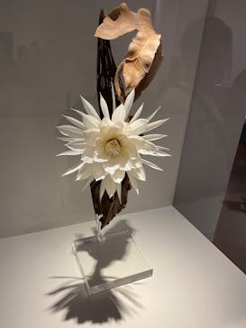 あべのハルカス美術館に投稿された画像（2023/7/16）