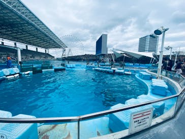 名古屋港水族館に投稿された画像（2023/7/16）