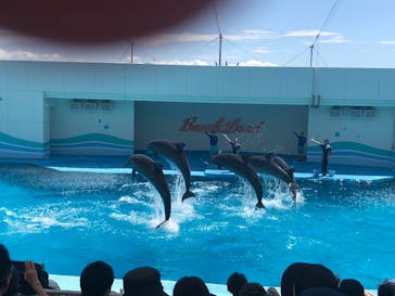 南知多ビーチランド＆南知多おもちゃ王国に投稿された画像（2023/7/16）