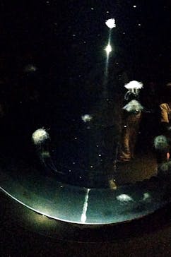 環境水族館アクアマリンふくしまに投稿された画像（2023/7/16）