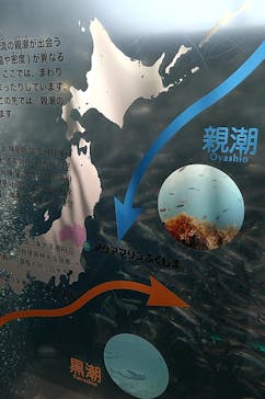 環境水族館アクアマリンふくしまに投稿された画像（2023/7/16）