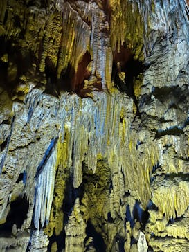 あぶくま洞に投稿された画像（2023/7/16）