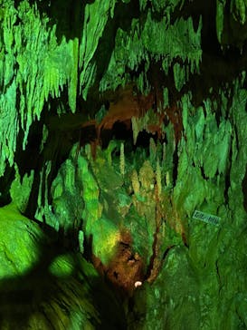 あぶくま洞に投稿された画像（2023/7/16）