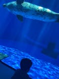 上越市立水族博物館 うみがたりに投稿された画像（2023/7/16）