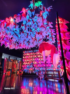 NARA KINGYO MUSEUMに投稿された画像（2023/7/16）