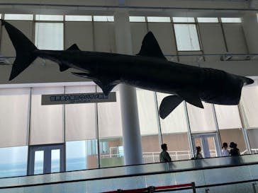 アクアワールド茨城県大洗水族館に投稿された画像（2023/7/16）