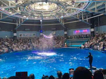 マクセル アクアパーク品川に投稿された画像（2023/7/16）