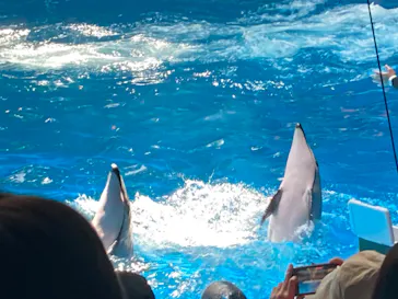 マクセル アクアパーク品川に投稿された画像（2023/7/16）