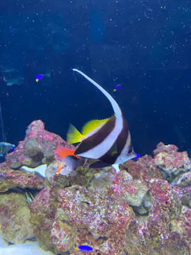 マクセル アクアパーク品川に投稿された画像（2023/7/16）