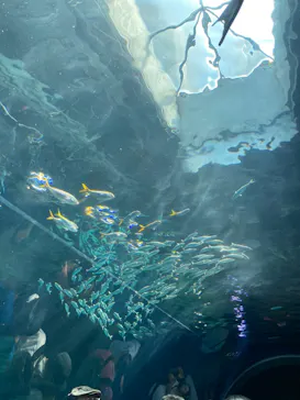 マクセル アクアパーク品川に投稿された画像（2023/7/16）