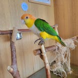 Moff animal cafe 小田原ダイナシティ店に投稿された画像（2023/7/16）