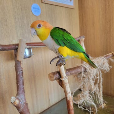 Moff animal cafe 小田原ダイナシティ店に投稿された画像（2023/7/16）