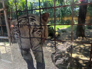 群馬サファリパークに投稿された画像（2023/7/16）