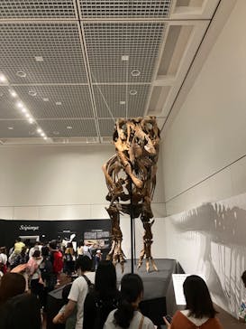 大阪市立自然史博物館に投稿された画像（2023/7/16）