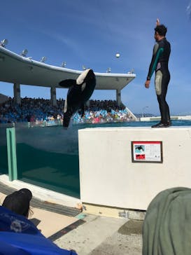 鴨川シーワールドに投稿された画像（2023/7/16）