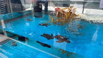 名古屋港水族館に投稿された画像（2023/7/16）