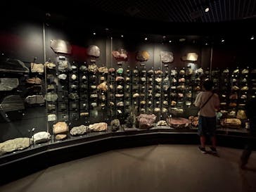 国立科学博物館に投稿された画像（2023/7/16）