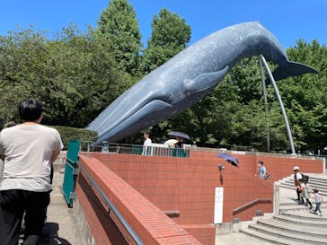 国立科学博物館に投稿された画像（2023/7/16）