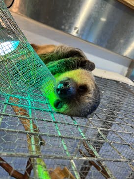 アニタッチみなとみらいに投稿された画像（2023/7/16）