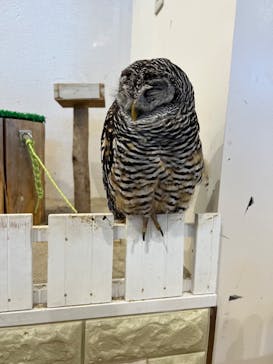 アニタッチみなとみらいに投稿された画像（2023/7/16）