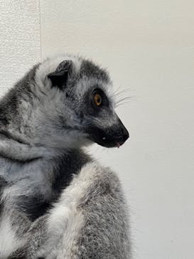 アニタッチみなとみらいに投稿された画像（2023/7/16）