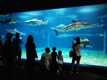 アクアワールド茨城県大洗水族館に投稿された画像（2023/7/16）
