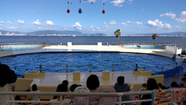 マリンワールド海の中道に投稿された画像（2023/7/16）