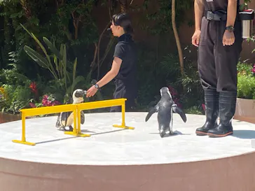 マクセル アクアパーク品川に投稿された画像（2023/7/16）