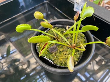 安城産業文化公園デンパークに投稿された画像（2023/7/16）