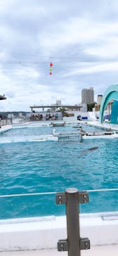 鴨川シーワールドに投稿された画像（2023/7/16）