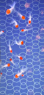 すみだ水族館に投稿された画像（2023/7/16）