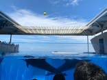 上越市立水族博物館 うみがたりに投稿された画像（2023/7/16）