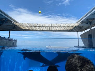 上越市立水族博物館 うみがたりに投稿された画像（2023/7/16）