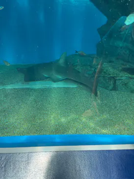 マクセル アクアパーク品川に投稿された画像（2023/7/16）