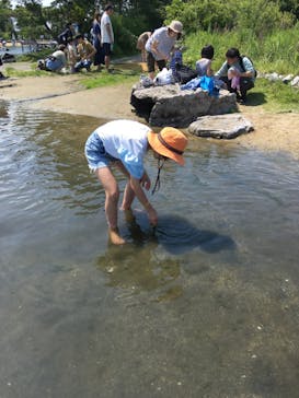 環境水族館アクアマリンふくしまに投稿された画像（2023/7/16）