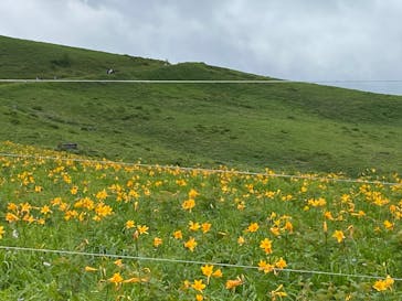 車山高原SKYPARK RESORTに投稿された画像（2023/7/16）