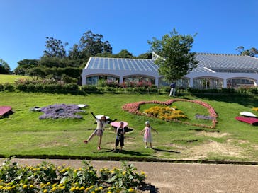 淡路ファームパーク イングランドの丘に投稿された画像（2023/7/16）