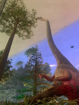 福井県立恐竜博物館に投稿された画像（2023/7/16）