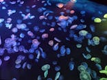 すみだ水族館に投稿された画像（2023/7/16）