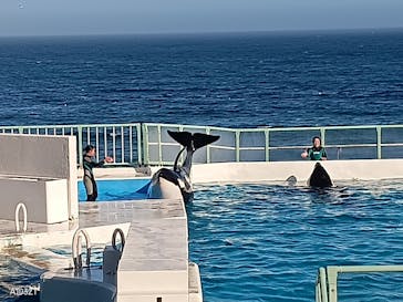 鴨川シーワールドに投稿された画像（2023/7/16）