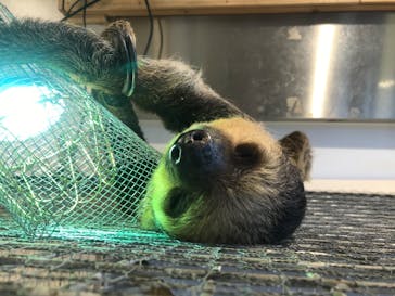 アニタッチみなとみらいに投稿された画像（2023/7/16）